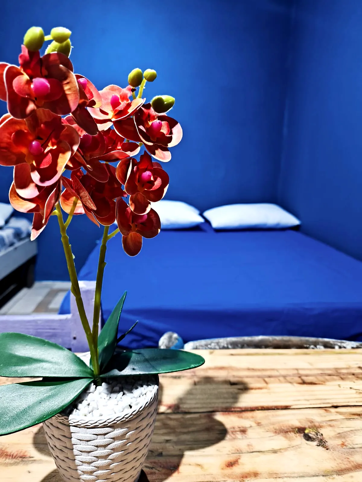 Acomodações Pousada Renascer